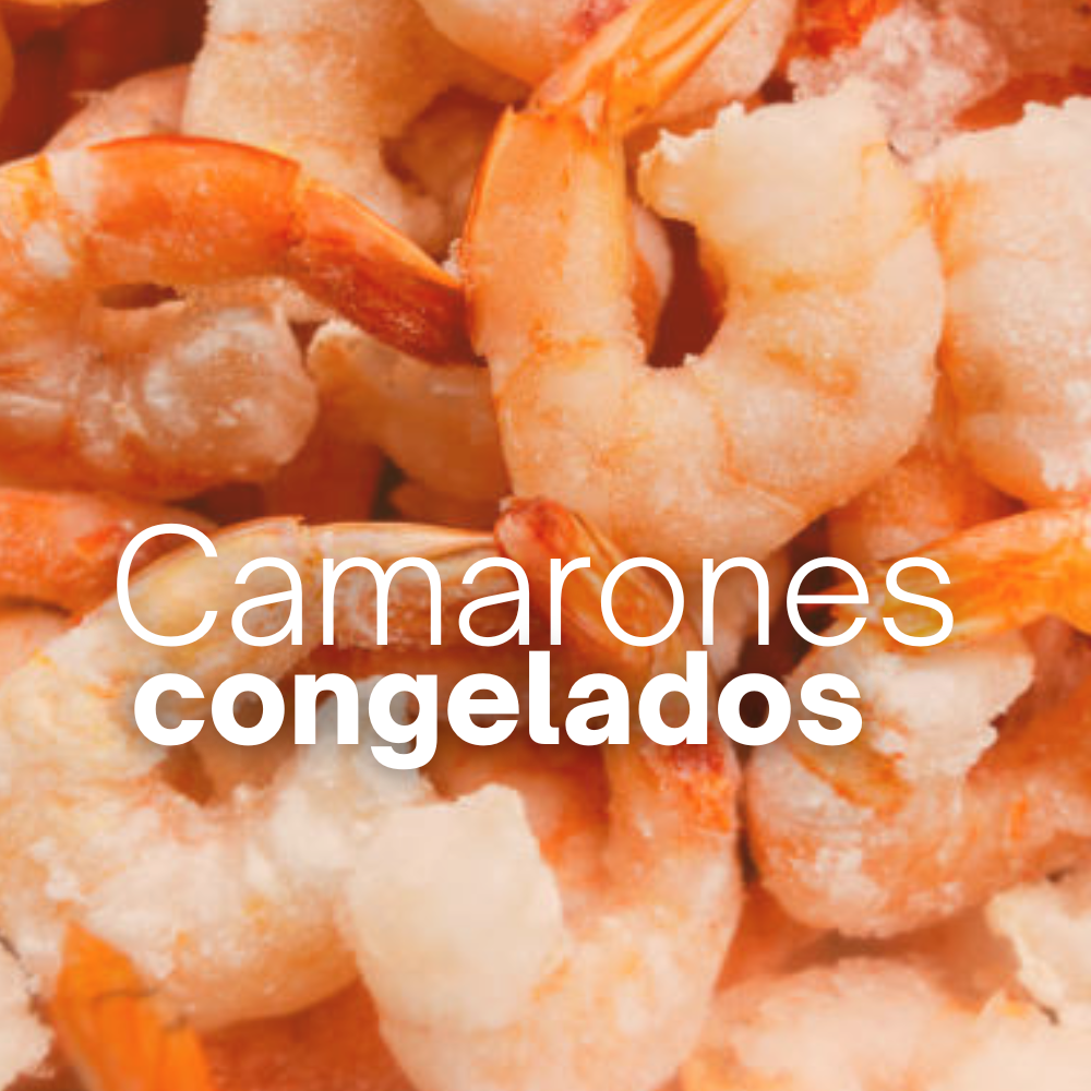 Camarones Congelados