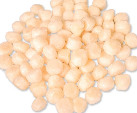 Ostión sin Coral (1 Kilo)